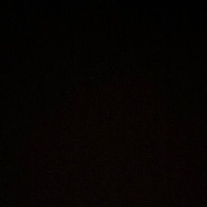 Meet your Posher, Kylee